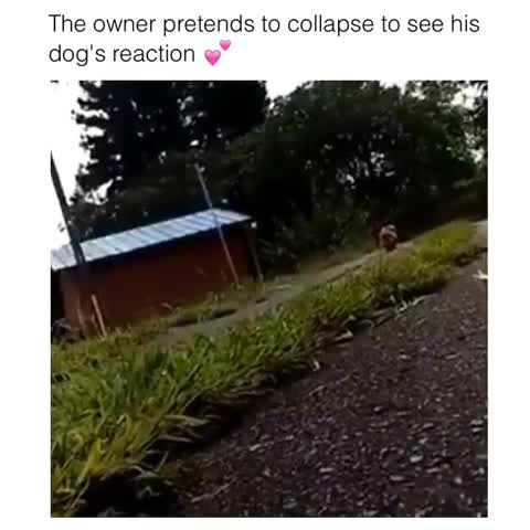 Random shit on my phone 123. Literally a bunch of random that was on my phone. Some may be cringe, some may be morbid, some may be ear rape and stupid as hell,